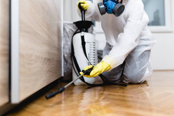 Best Pest Prevention Services  in Coal Grove, OH
