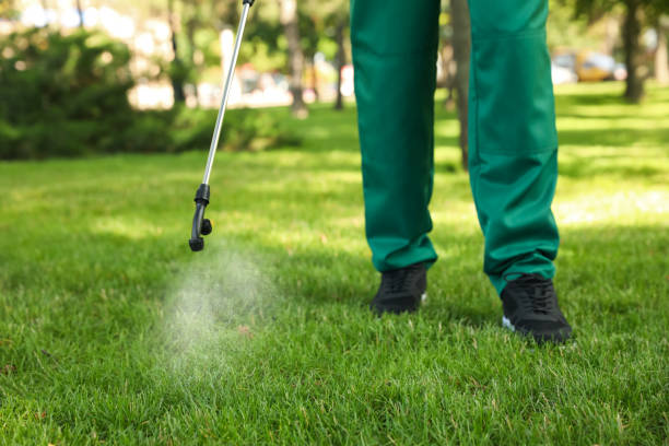 Professional Pest Control in Coal Grove, OH