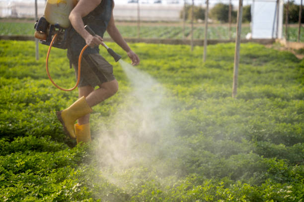 Best Best Pest Control Companies  in Coal Grove, OH
