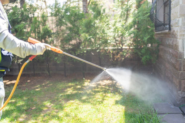 Best Ant Control Services  in Coal Grove, OH