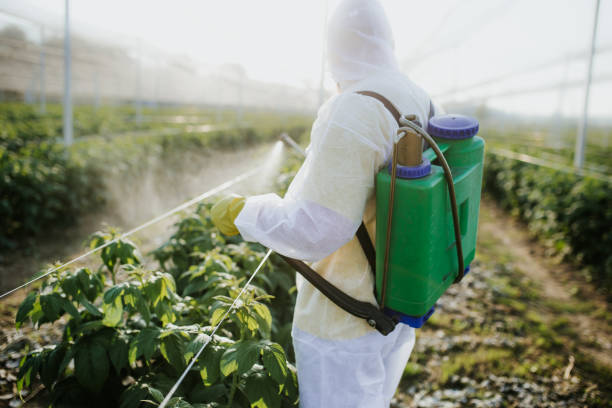 Best Exterminator Services  in Coal Grove, OH